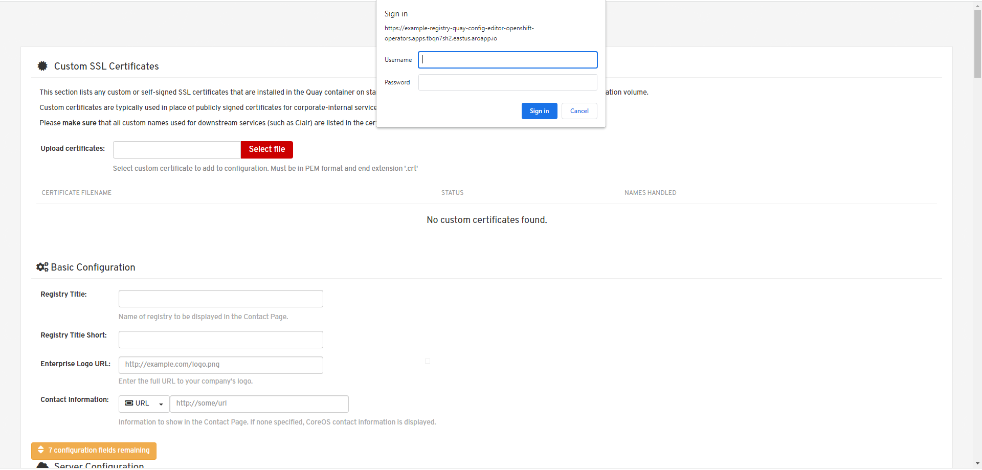 Registry Config Editor Login